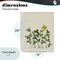 Stupell Industries Hidden Gems Botanicals Framed Giclee, design by Grace Popp